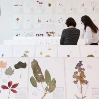 RegulaDettwilerGerdaRidlerLandesgalerieNÖ_7